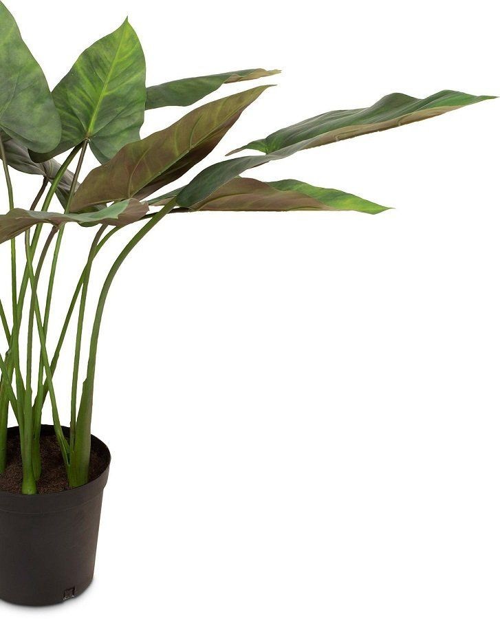 MOROSI ANTHURIUM KUNSTPFLANZE 81 CM--1