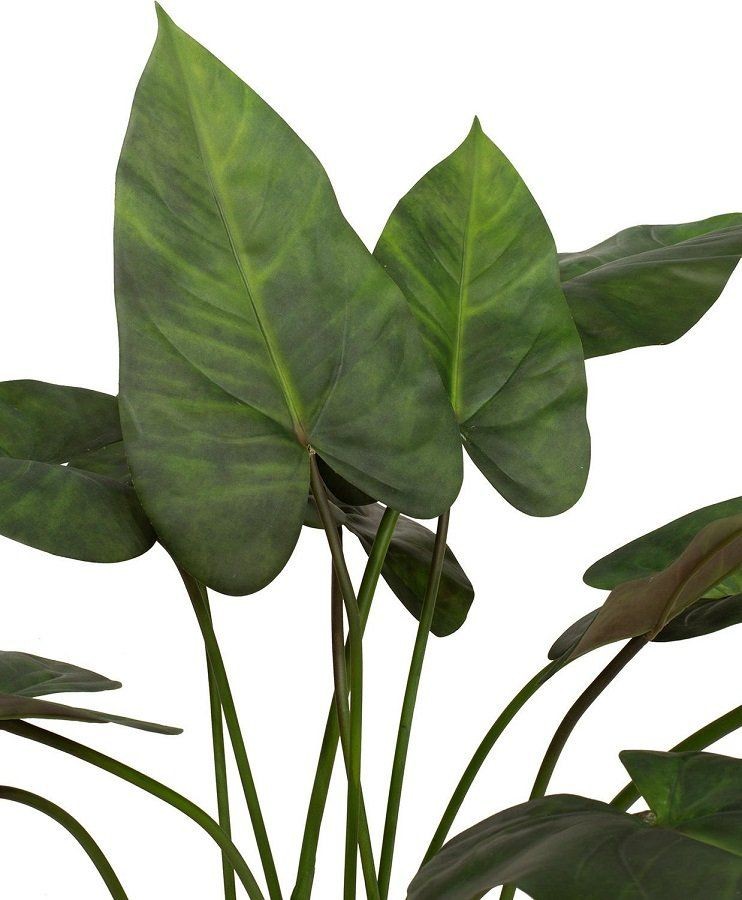 MOROSI ANTHURIUM KUNSTPFLANZE 81 CM--2