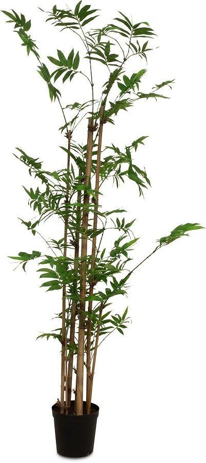 MOROSI BAMBOO KUNSTPFLANZE 152 CM--0