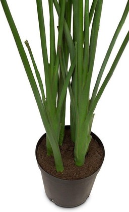 MOROSI BIRD OF PARADISE LEAF KUNSTPFLANZE 167 CM--2