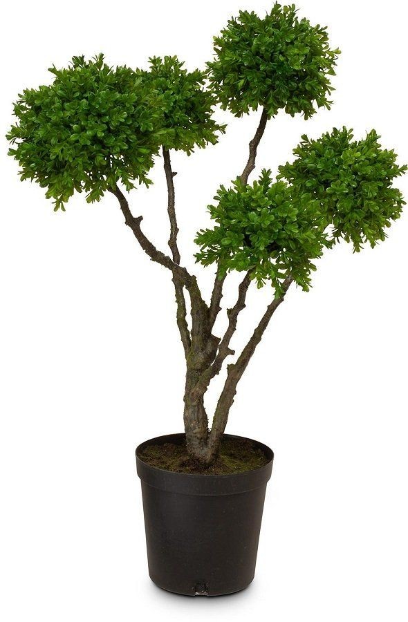 MOROSI BOXWOOD TREE KUNSTPFLANZE 91 CM--0