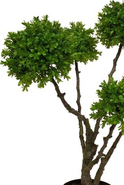 MOROSI BOXWOOD TREE KUNSTPFLANZE 91 CM--2