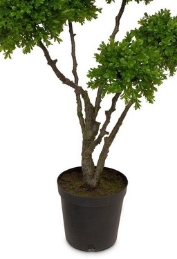 MOROSI BOXWOOD TREE KUNSTPFLANZE 91 CM--1