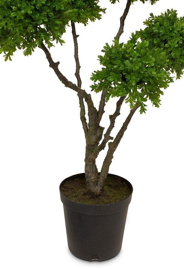 MOROSI BOXWOOD TREE KUNSTPFLANZE 91 CM--1