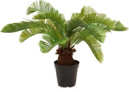 MOROSI CYCAS KUNSTPFLANZE 59 CM--0