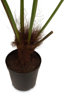 MOROSI FAN PALM KUNSTPFLANZE 154 CM--1