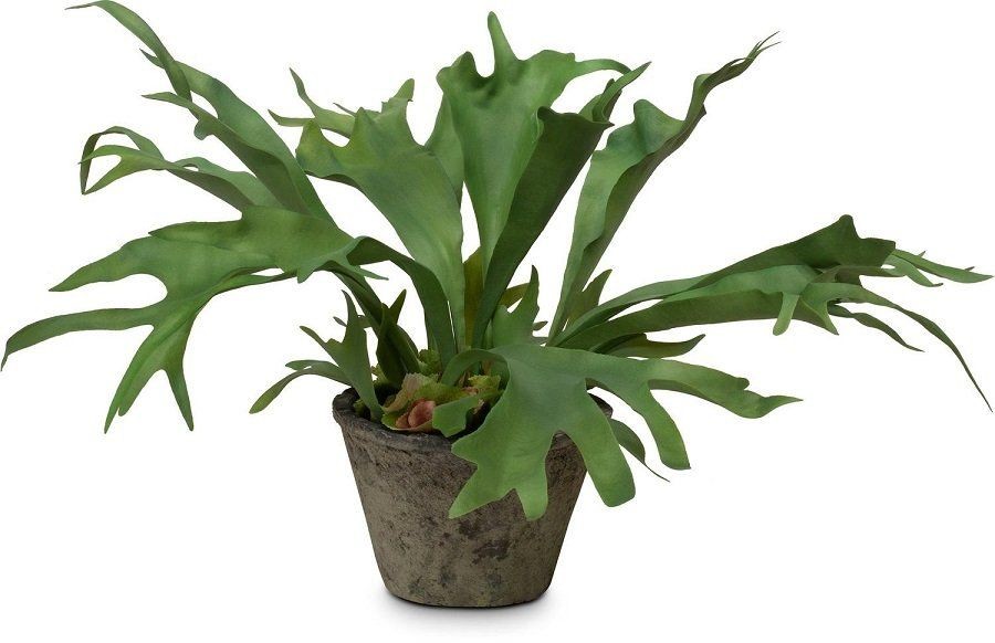 MOROSI STAGHORN KUNSTPFLANZE 55 CM--0