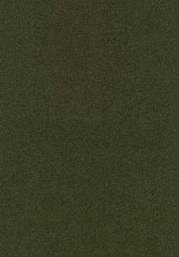 Knoll International Bertoia Stuhl - Tonus 131T Dark Olive--10
