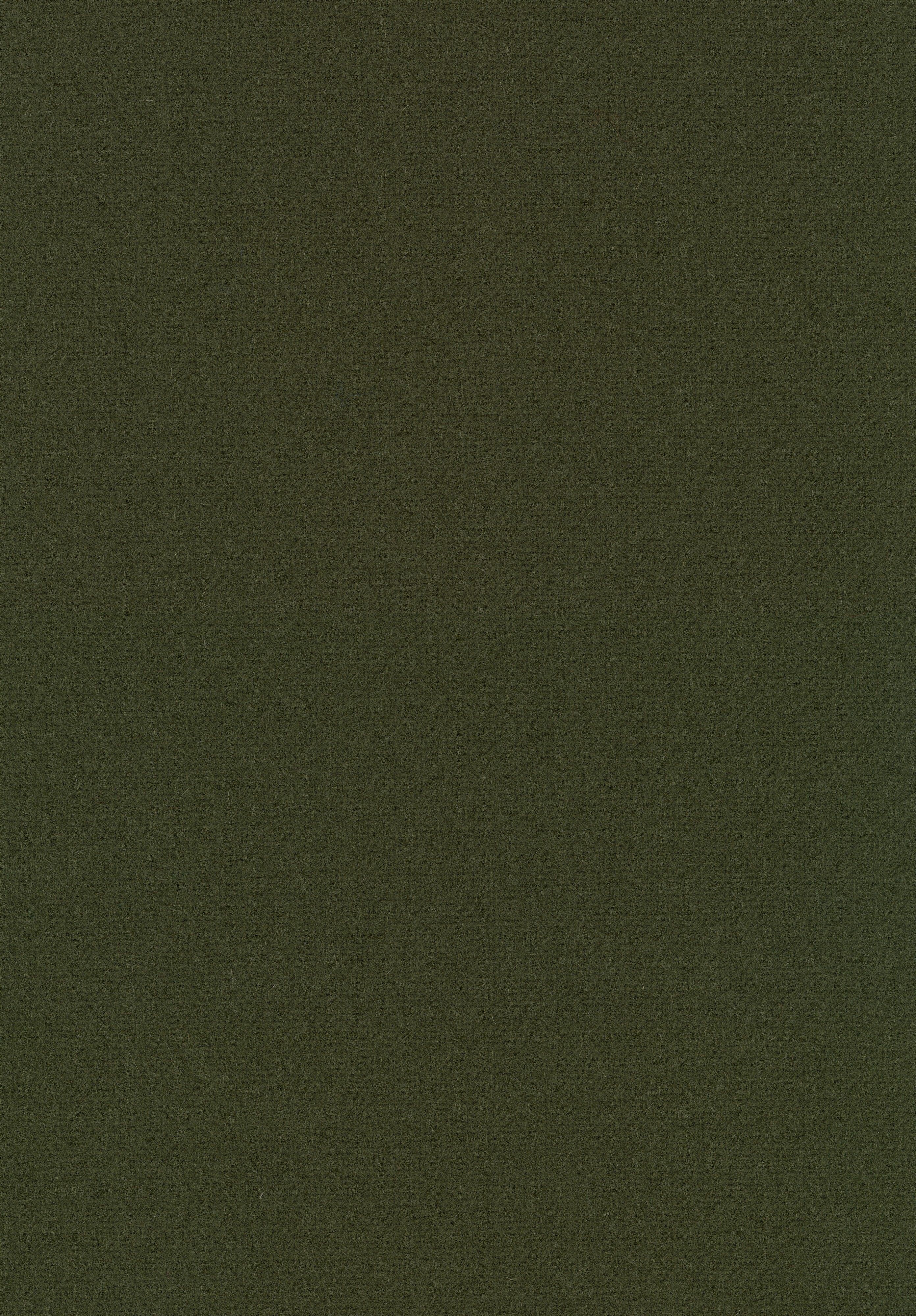Knoll International Bertoia Stuhl - Tonus 131T Dark Olive--10
