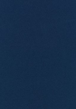 Knoll International Bertoia Stuhl - Tonus 132T Dark Blue--9